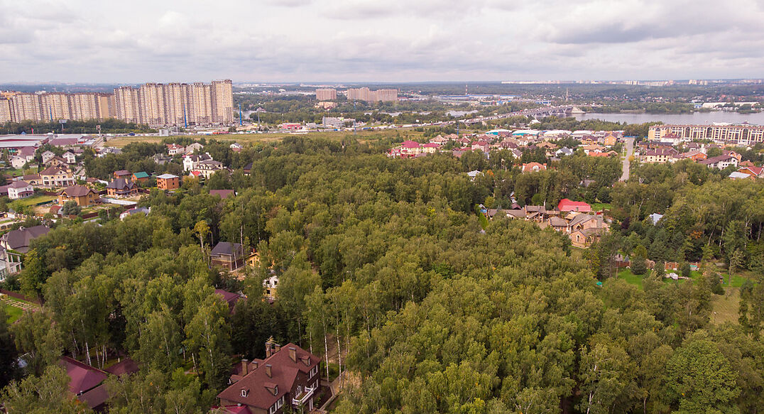 Смородинка