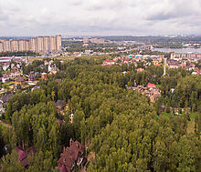 Смородинка