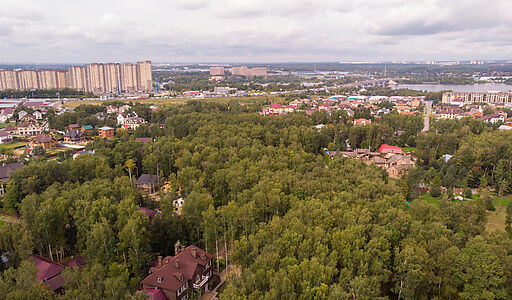 Смородинка