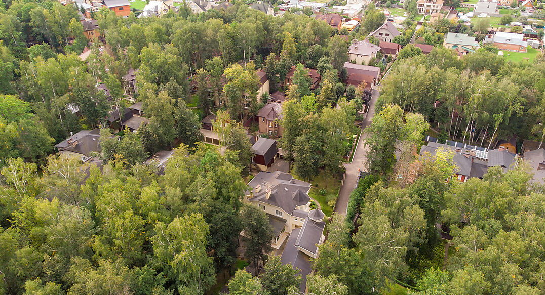 Смородинка