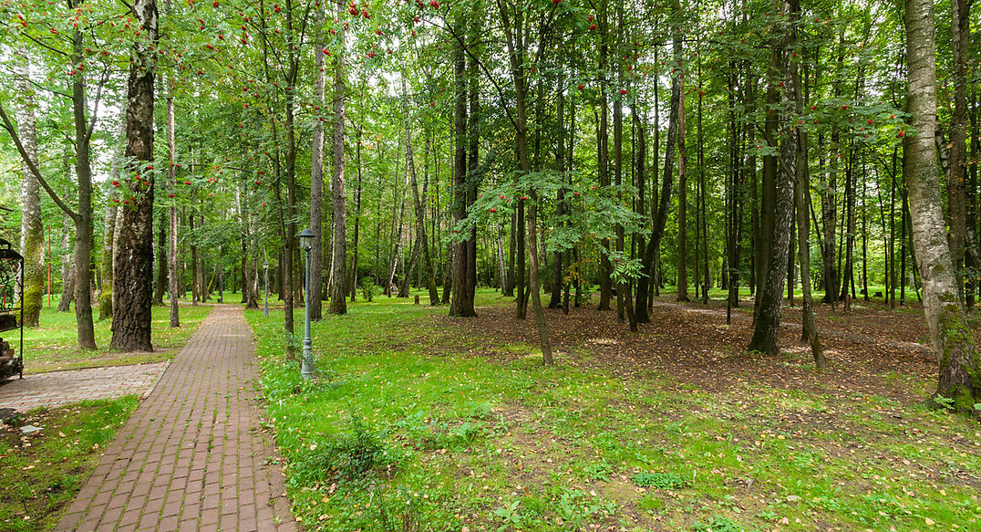 Смородинка