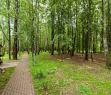 Смородинка