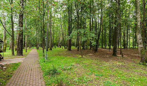 Смородинка