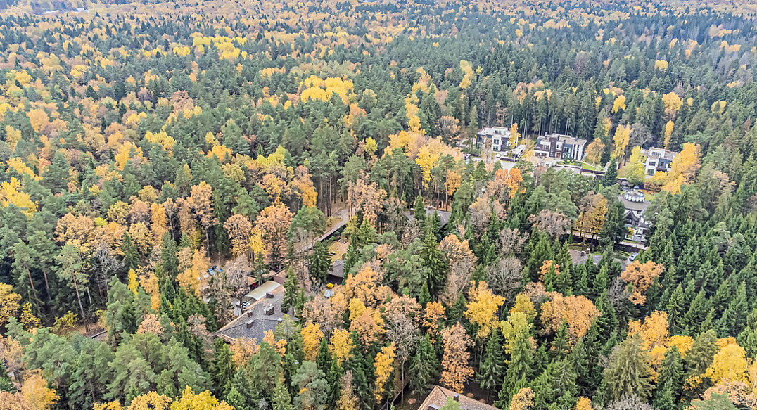 Тихая гавань