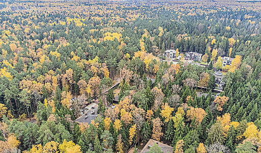 Тихая гавань