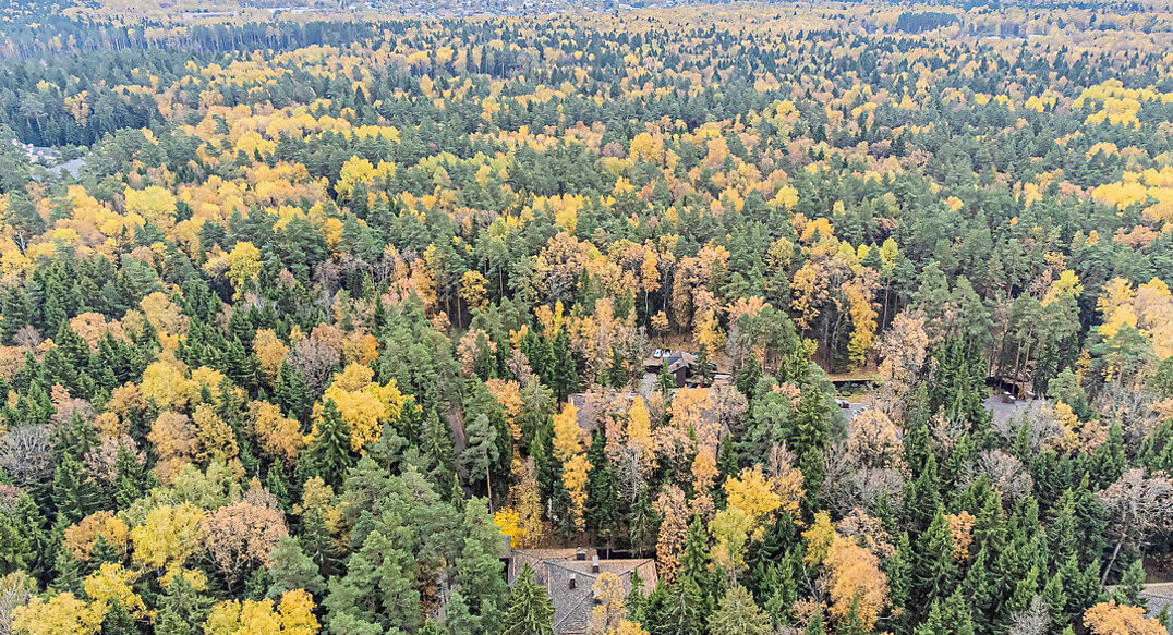 Тихая гавань