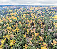 Тихая гавань