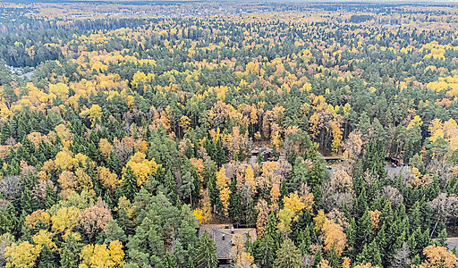 Тихая гавань