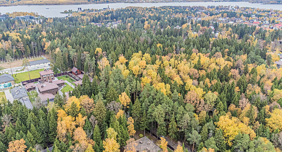 Тихая гавань