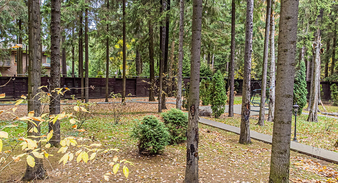 Тихая гавань