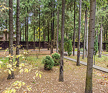 Тихая гавань