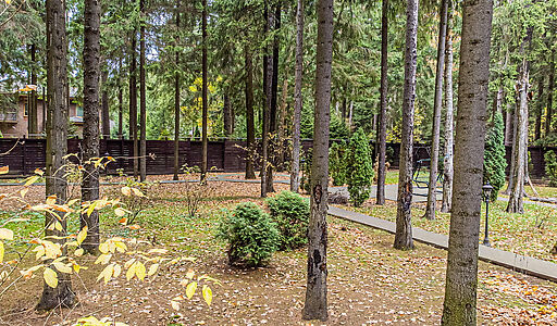 Тихая гавань