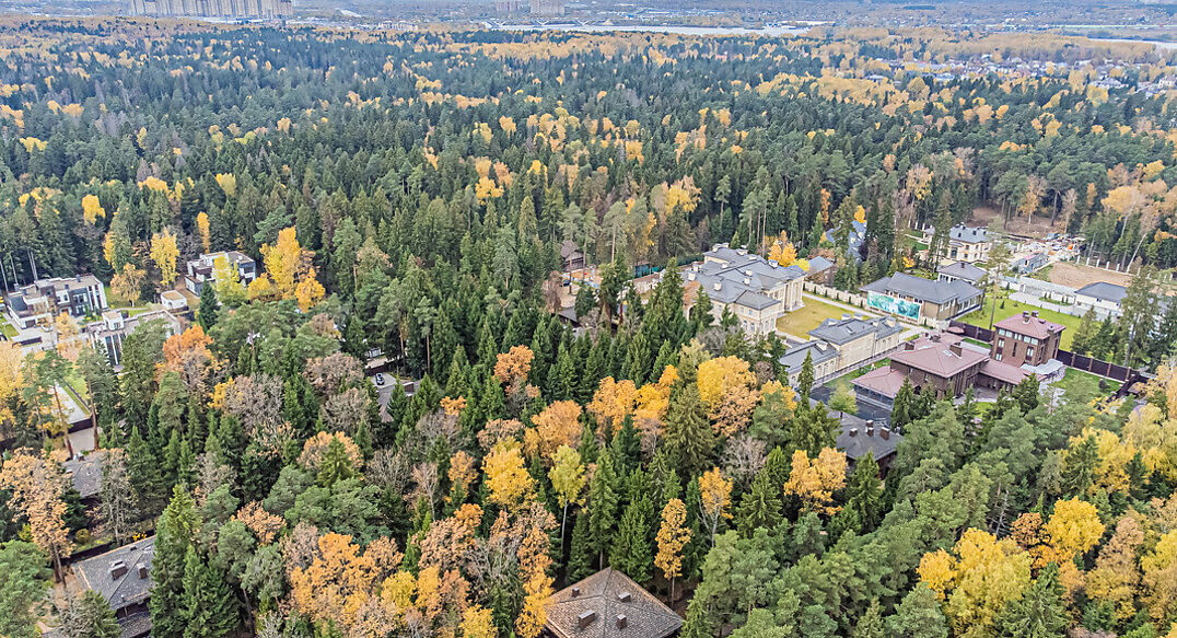 Тихая гавань