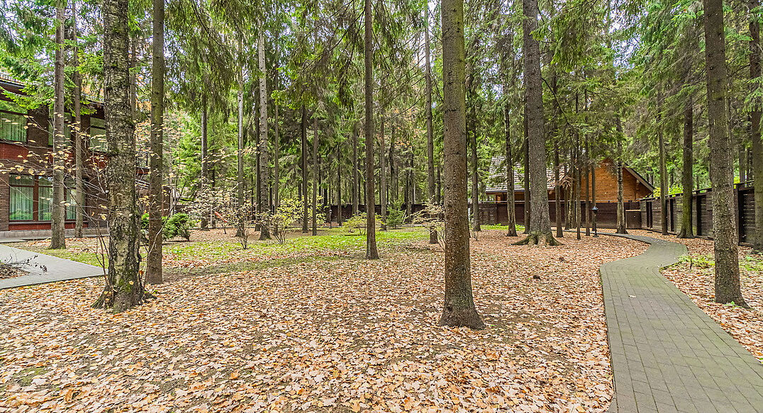 Тихая гавань