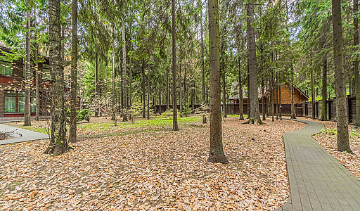 Тихая гавань