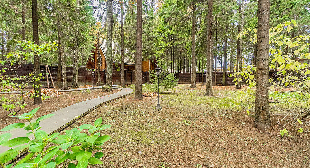 Тихая гавань