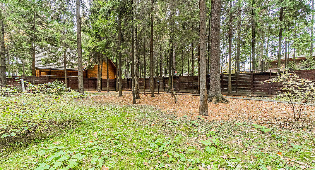 Тихая гавань