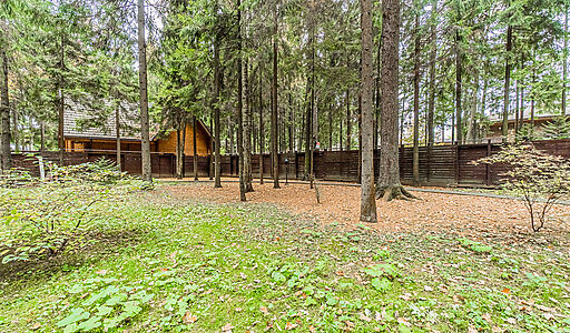 Тихая гавань