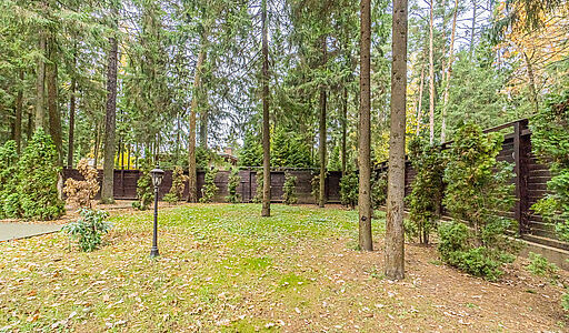 Тихая гавань