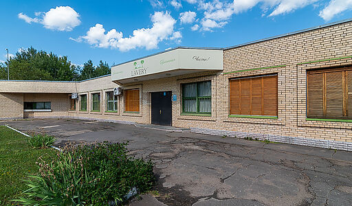 Чароит (Ватутинки)