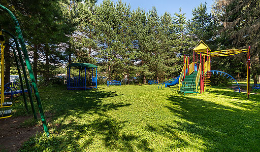 Чароит (Ватутинки)