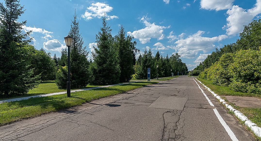 Чароит (Ватутинки)