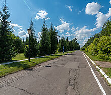 Чароит (Ватутинки)