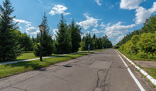 Чароит (Ватутинки)