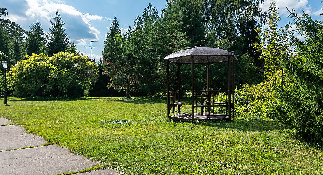 Чароит (Ватутинки)