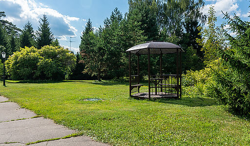 Чароит (Ватутинки)