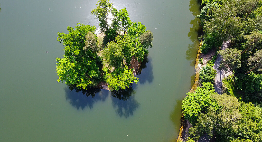 Архангельское-Тюриково