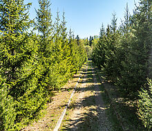 Герасимиха