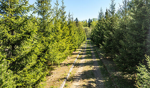 Герасимиха