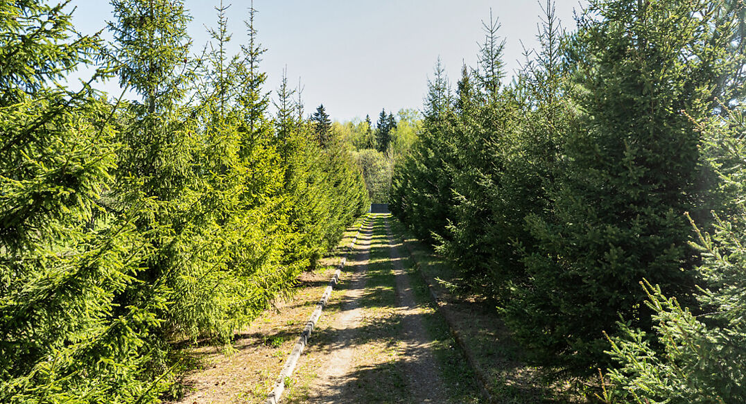 Герасимиха