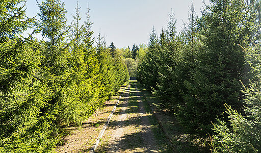 Герасимиха