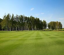 Продается дом на берегу озера