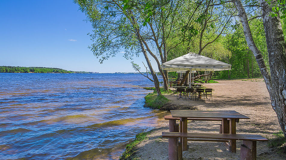 Дом под отделку в поселке Дубрава