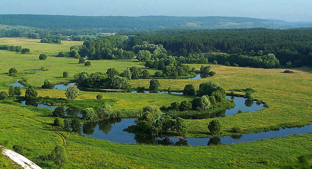 Александров