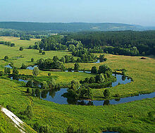 Александров