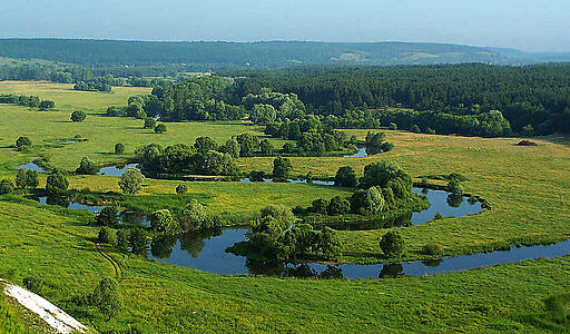 Александров