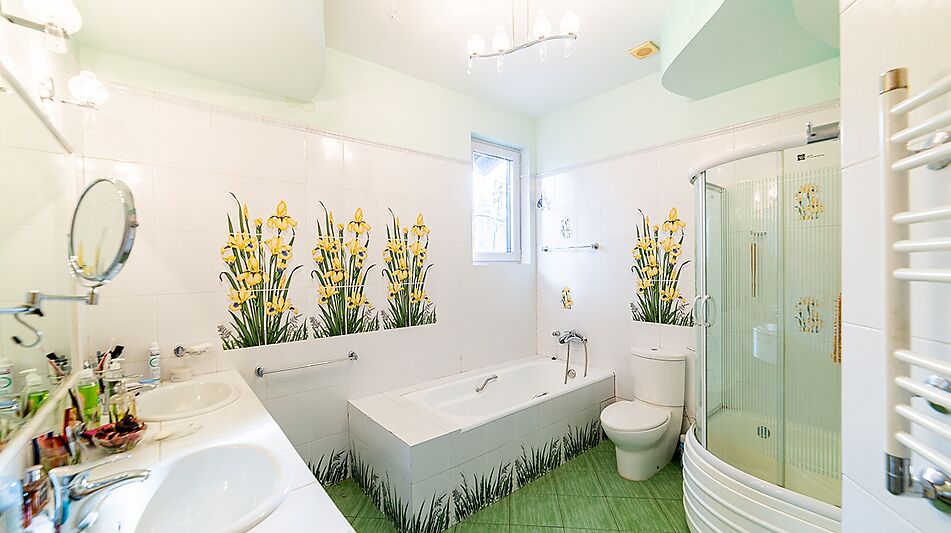 Дом в поселке Троицкое