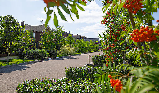 Новая Ильичевка