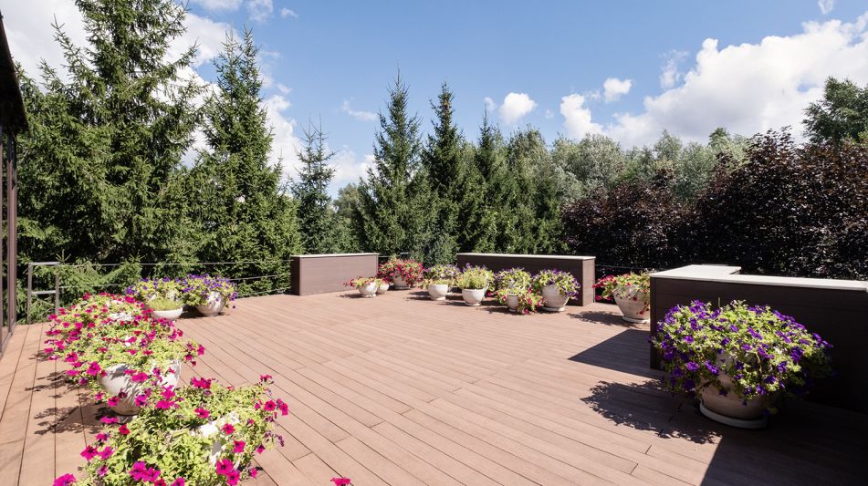 Дом у леса в КП Десять Ярдов