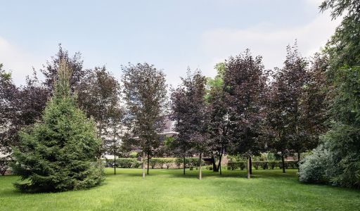 Дом у леса в КП 