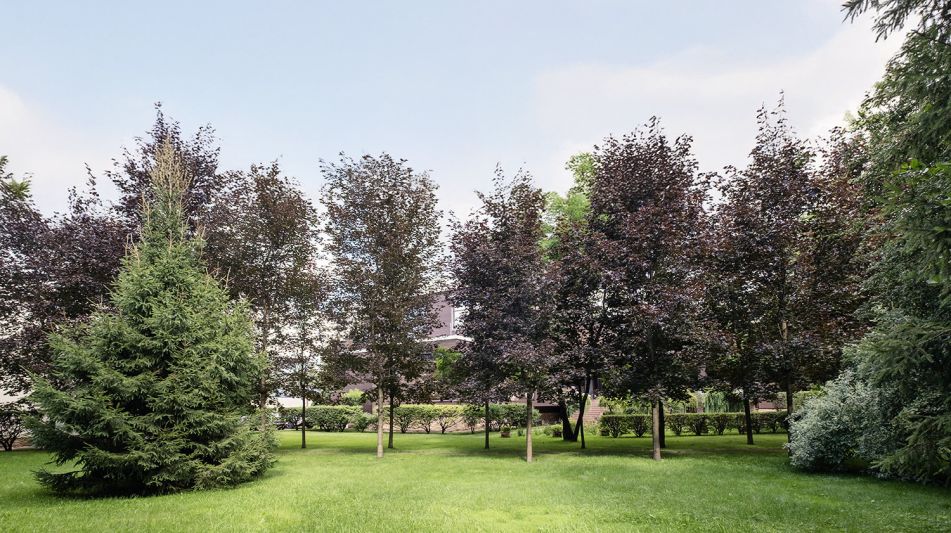 Дом у леса в КП Десять Ярдов