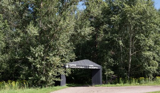 Десять Ярдов