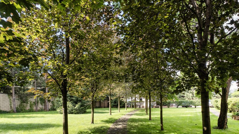 Дом у леса в КП Десять Ярдов