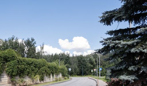 Дом у леса в КП Десять Ярдов