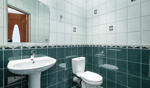 Загородная усадьба в Троицком