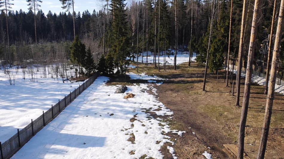 Участок в КП Лесные зори